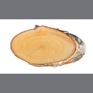 Disque de bouleaux ovale naturelle