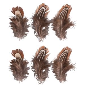 Feathers