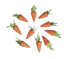 Carotte en ouate, 18 mm