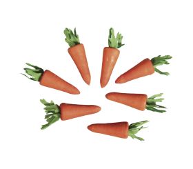 Karotte aus Watte, 30 mm