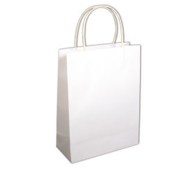 Paper bag with handle, FSC 100%