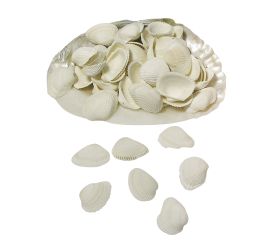 Clovis-Muscheln