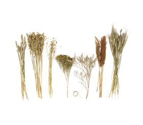 Fleurs séchées Mix