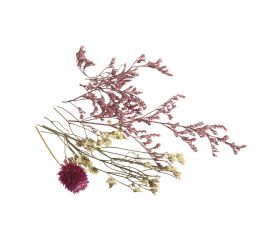 Mini dried flowers