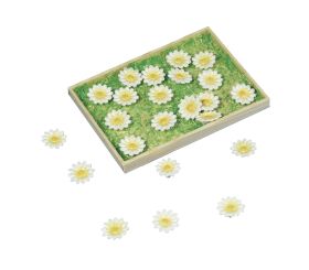 Polyresin-Daisyköpfchen