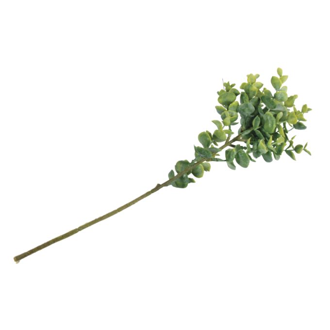 eukalyptus strau knstlich Knstlicher Kaktus - Hagen | 125 cm