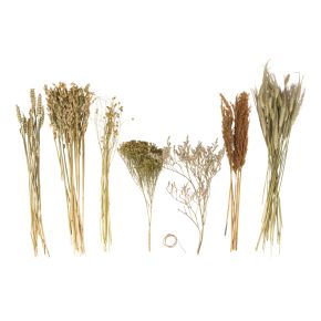 Fleurs séchées Mix