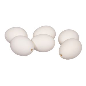 Déco Oeufs de poule, soufflés