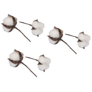 Fleurs de coton, 6cm ø