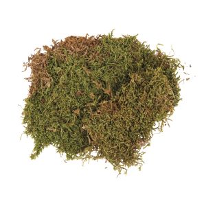 Mousse en plaque, séchée