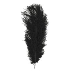 Plume d'autruche