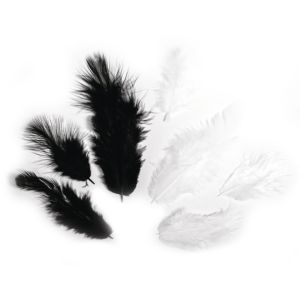 Mélange de plumes