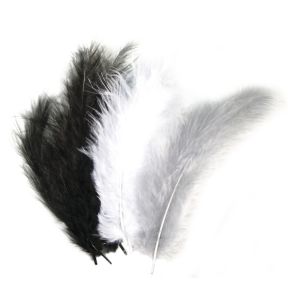 Mélange de plumes duvetées