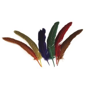 Plume à points