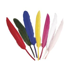 Plumes indiennes