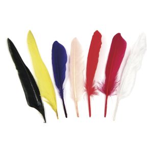 Plumes indiennes