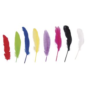 Plume d'oie