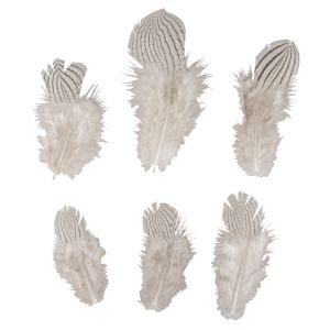 Plume déco Motif de zèbre