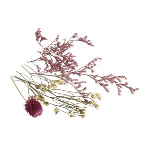 Mini Fleurs séchées