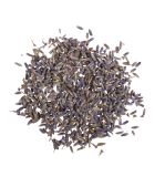 Blüten - Lavendel
