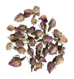 Blüten - Rosenknospen rosa ganz