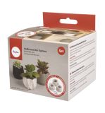 Silicone moulds Mini pot set