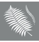 Pochoir Botanic