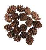 Cônes de sapin, mini