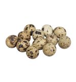 Deco Quail eggs, hollow