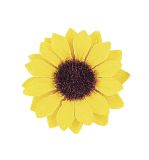 Sunflower heads, 3.5cm ø