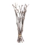 Vine root bundle