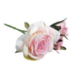 Rose pick, pale-pink