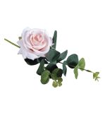 Rose pick with eucalyptus, pale-pink