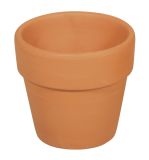 Terracotta pot