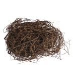 Maidenhair vine, decorative twig