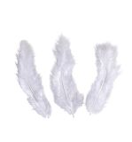 Plumes de décoration, blanc