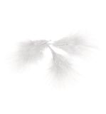 Decorative feathers, white