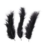 Fluffy feather, black