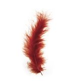 Fluffy feather, reddish-brown