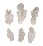 Decorative feathers zebra pattern
