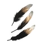 Feathers w. silver&gold colour gradient, black