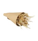 Dried flower bouquet w.paper sleeve, natural