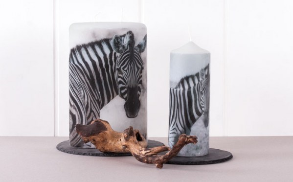 Daily Candle