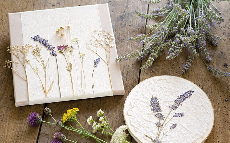 Gepresste Blumen auf Keilrahmen