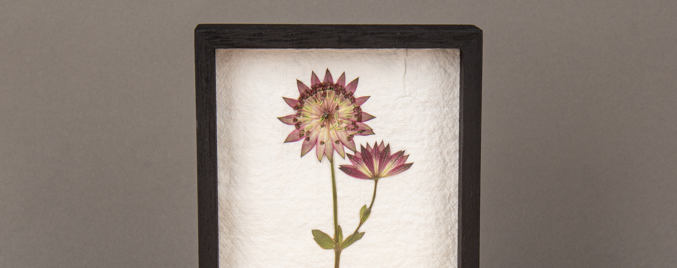 Pressed flowers in frame