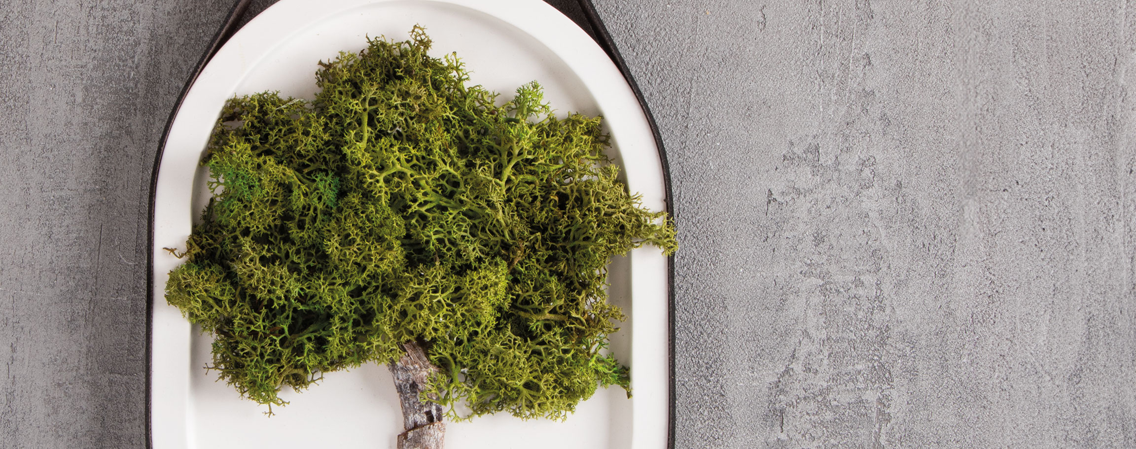 Oval tray with moss tree