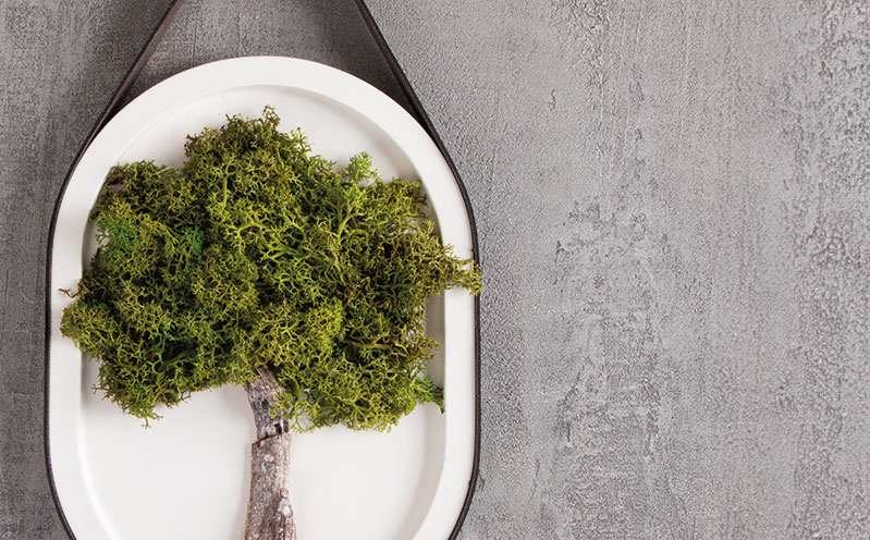 Ovales Tablett mit Moos-Baum